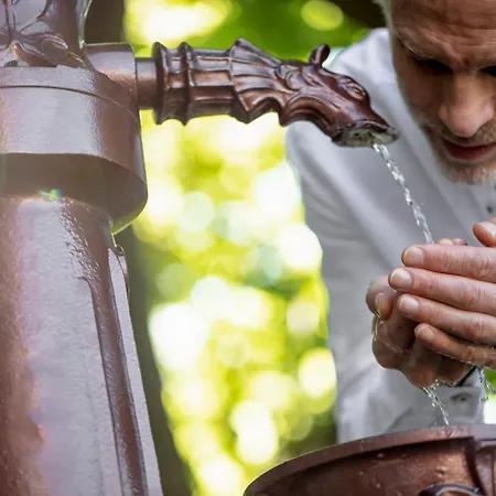 Ξενοδοχείο Ensana Thermia Palace 5*