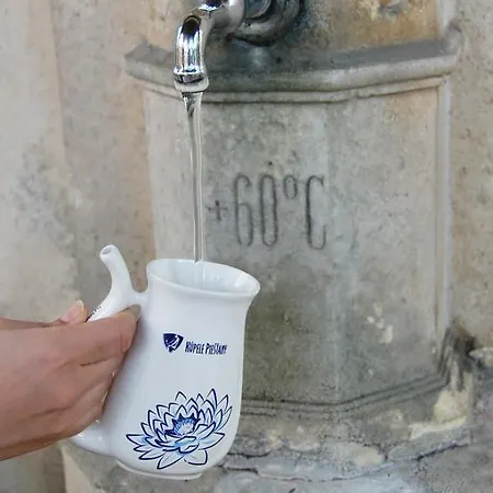 Ξενοδοχείο Ensana Thermia Palace