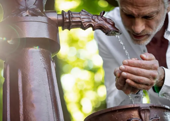 酒店 Ensana Thermia Palace 5*